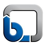 Logo KSB Nederland BV