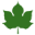Logo Ocean Agro Industries Ltd.