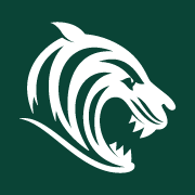 Logo Leicester Football Club Plc
