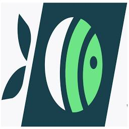 Logo Silentium Ltd.