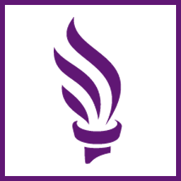 Logo Truman National Security Project