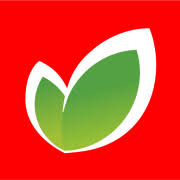 Logo O'Key Group SA