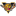 Logo Les Tigres de Victoriaville (1991), Inc.
