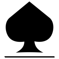 Logo Spine & Sport Foundation, Inc.