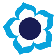 Logo Canadian Union of Public Employees BC Division