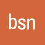 Logo Business School Netherlands