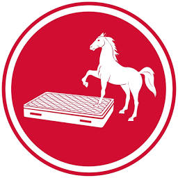 Logo Sleep High Co.