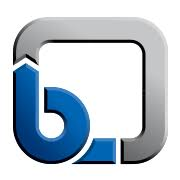 Logo KSB Pumps & Valves (Pty) Ltd.