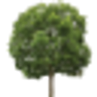 Logo Stansted Park Foundation
