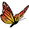 Logo Ray Graham Association