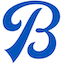Logo Branson School