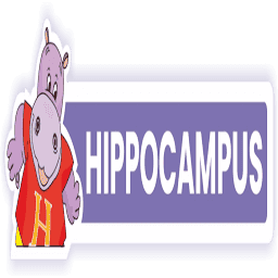 Logo Hippocampus Learning Centres Pvt Ltd.