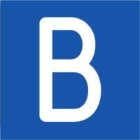 Logo BlueSnap, Inc.