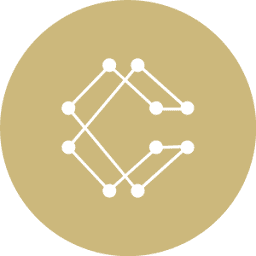 Logo ReverseVision, Inc.