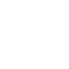 Logo Il Mulino New York