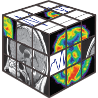 Logo Cognitive Neuroscience Society