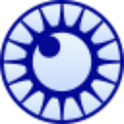 Logo ARVO Foundation for Eye Research