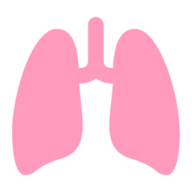 Logo Lung Institute LLC