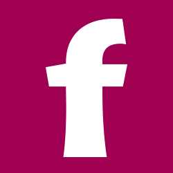Logo Frisco.pl Sp zoo