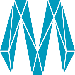 Logo Mint Solutions Holding BV