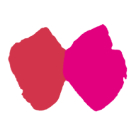 Logo Jellice Pioneer Europe BV