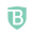 Logo BrandShield Ltd.