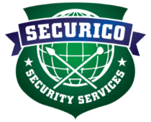 Logo DDNS Security Operations Pvt Ltd.