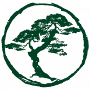 Logo Cornell Capital LLC
