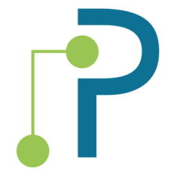 Logo Palmetto Technology Group LLC (South Carolina)