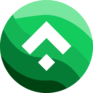 Logo N1 Singer Ltd.