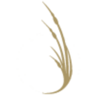 Logo Icona Resorts