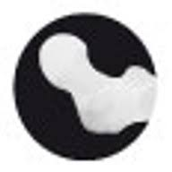 Logo CarboFix Orthopedics Ltd.
