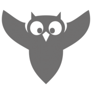 Logo Bird Aerosystems Ltd.