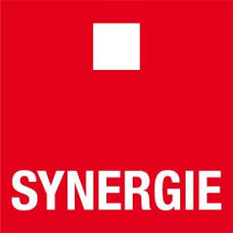 Logo Synergie Hunt International, Inc.