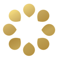 Logo S.E.E.D. Planning Group LLC