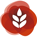 Logo ITK SAS