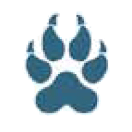 Logo Wolf Midstream, Inc.