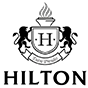 Logo Hilton Institute of Business LLC