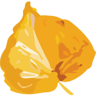 Logo REcolorado