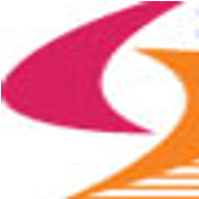Logo Sarthak Metals Ltd.