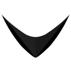 Logo Rayvn AS