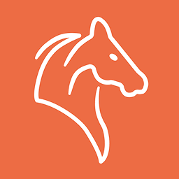 Logo Equestrian Insights AB