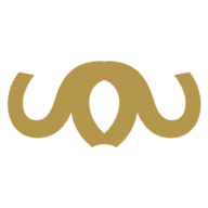 Logo Sanari Capital