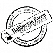 Logo Haliburton Forest & Wild Life Reserve Ltd.
