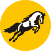 Logo Tembo Global Industries Ltd.