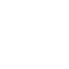 Logo Paige.Ai, Inc.