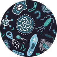 Logo Nubiyota LLC