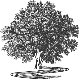 Logo The Sycamore Institute