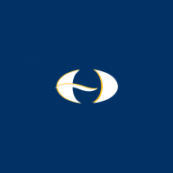 Logo The Burdens Group Ltd.
