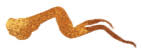 Logo Viña El PrincipaL S.A. Vina El Principal S A